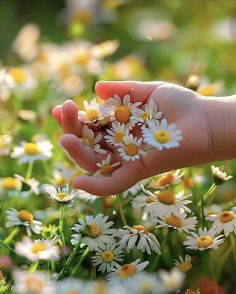 Günaydın mutlu güzel sabahlar ☕️🌺🤗🎶🎶🎶🎶