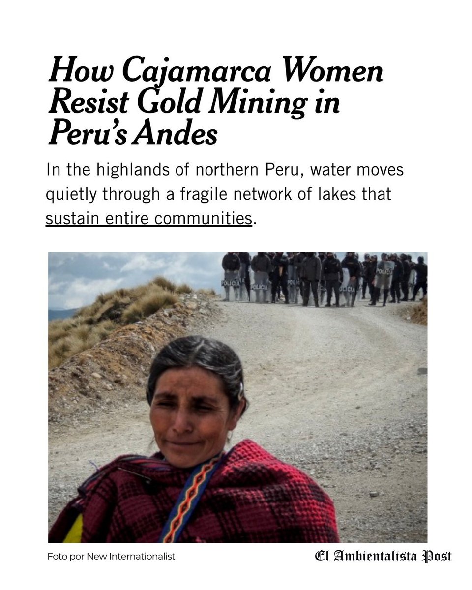 El Ambientalista Post tweet media