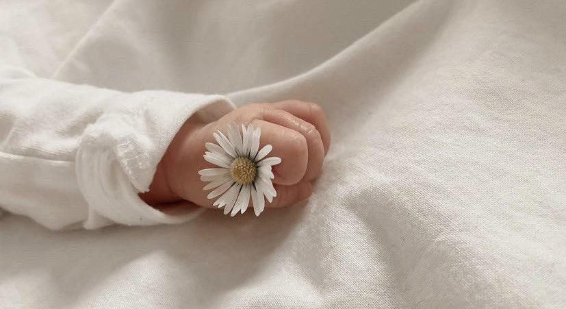 ‏نــور القمر🤎‏ tweet media