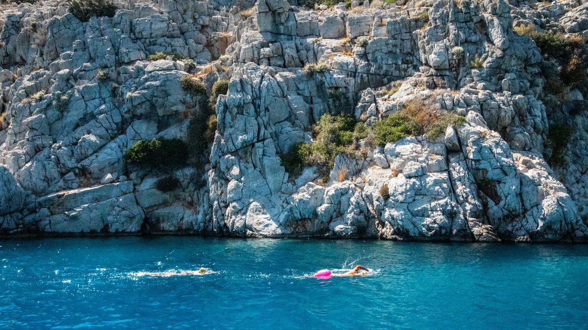 SwimTrek tweet media