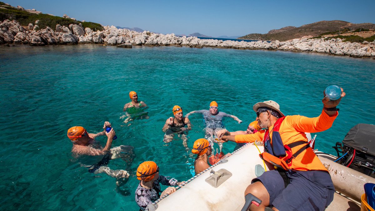 SwimTrek tweet media