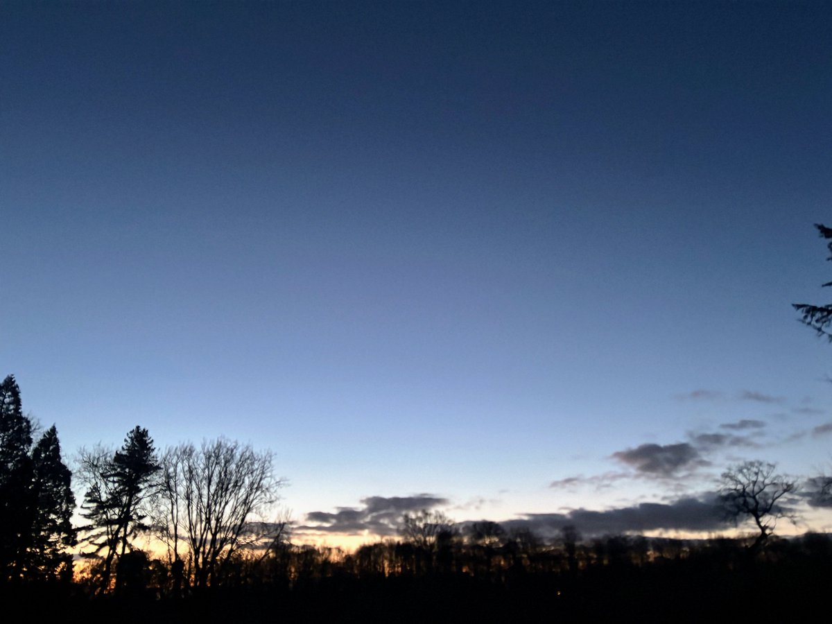 DevilMayCare tweet media