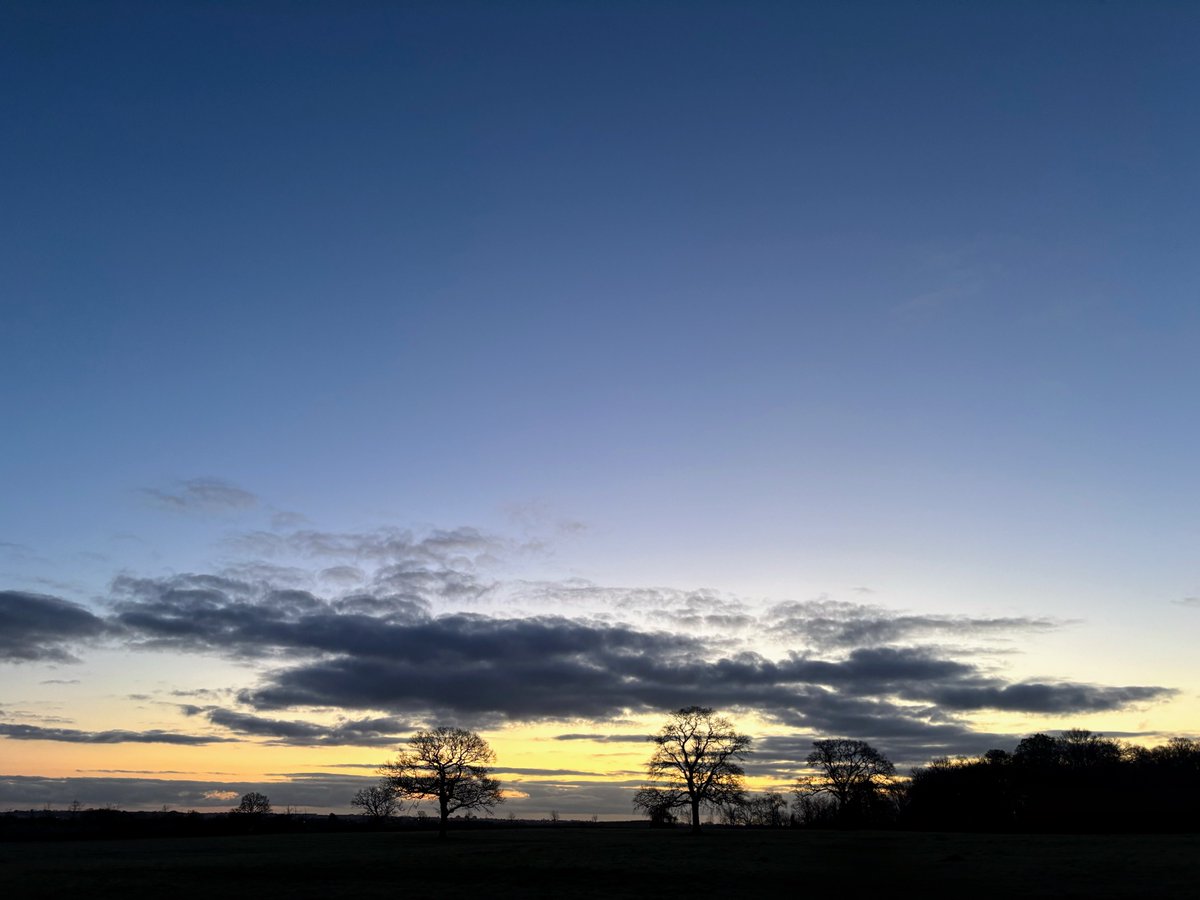 DevilMayCare tweet media