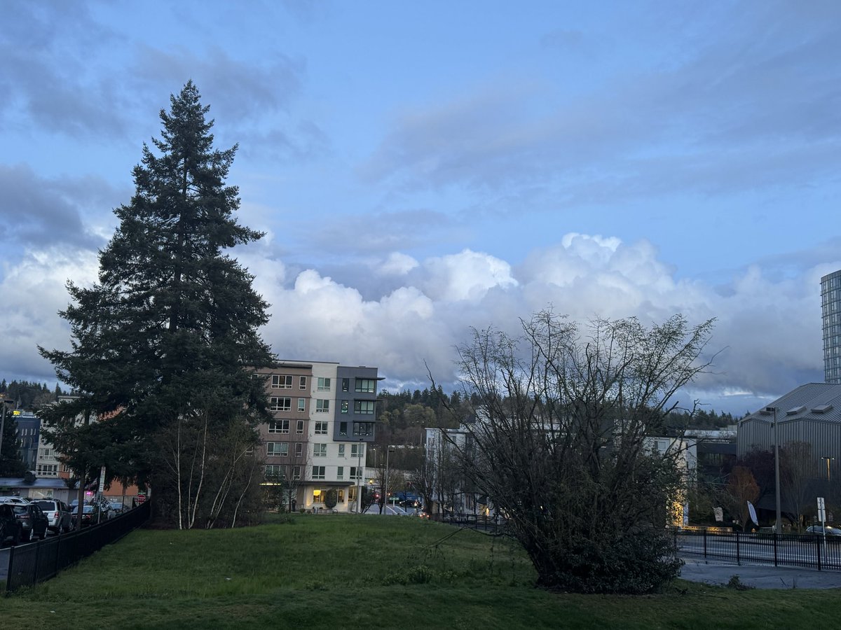 imsobear tweet media