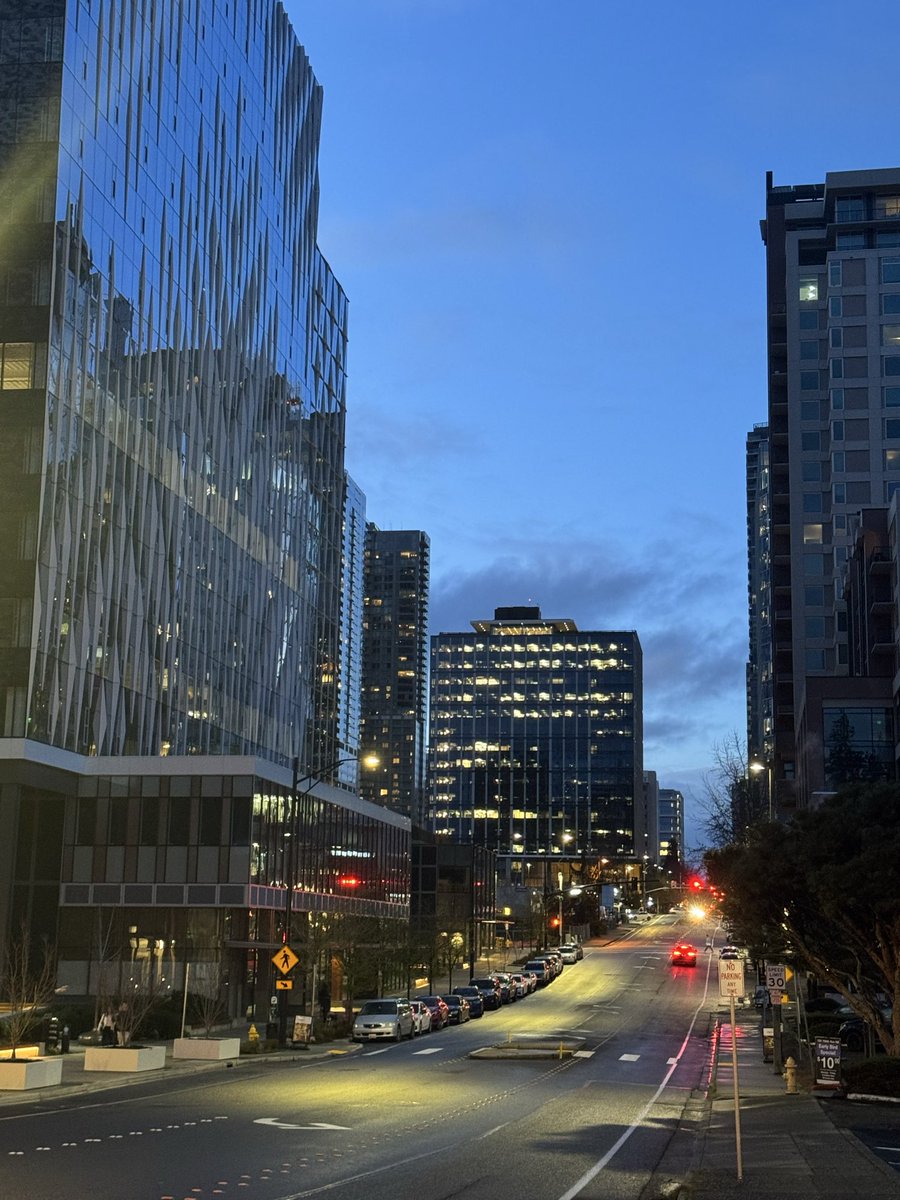 imsobear tweet media