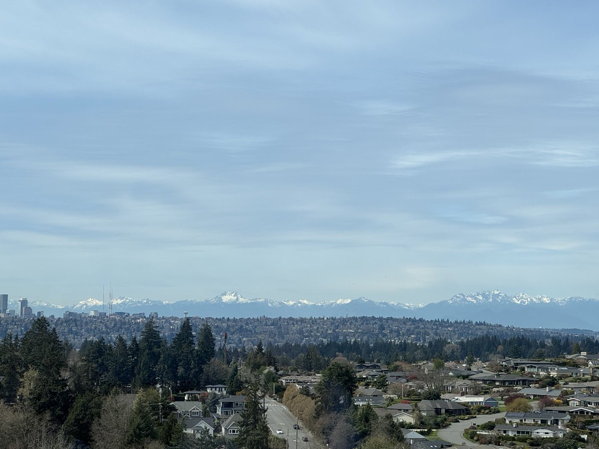 imsobear tweet media