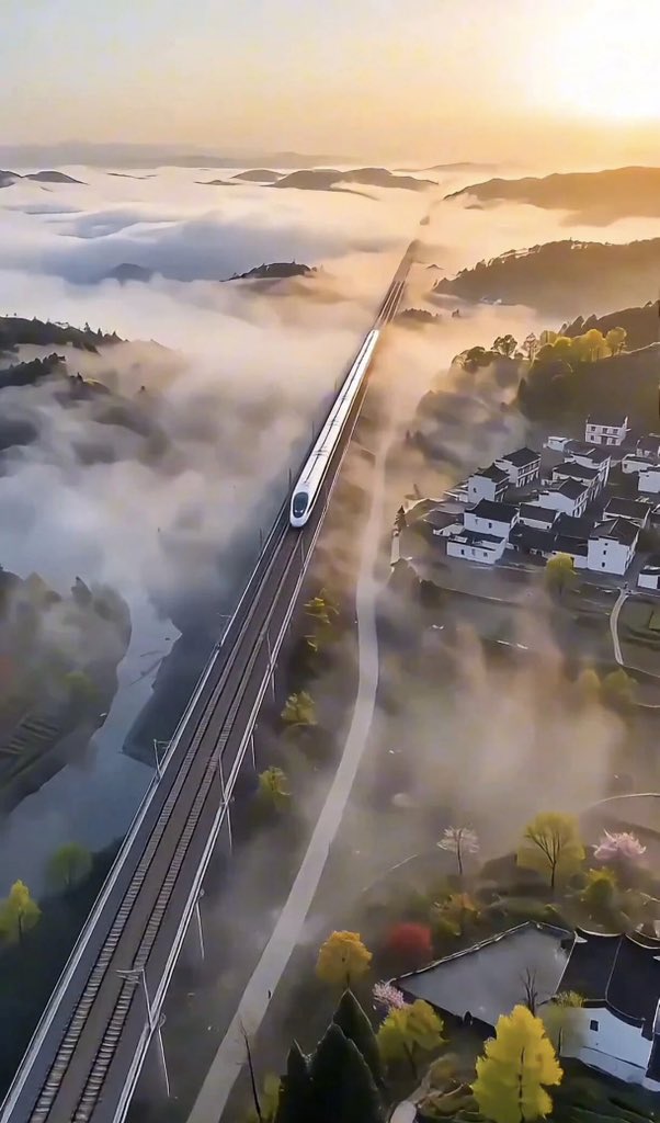 小石头🇨🇳（互fo） tweet media