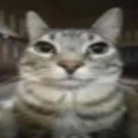 ཐི♡ཋྀ tweet media