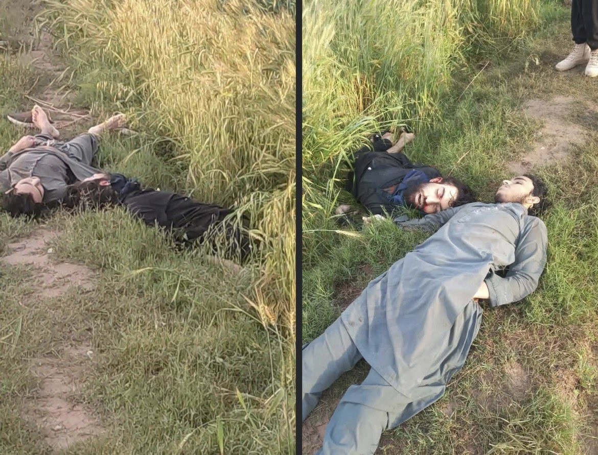 Adv Mushahid Dawar tweet media