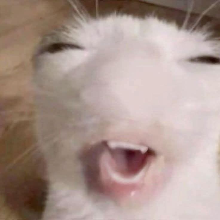 Lazannaguy RELOAD tweet media