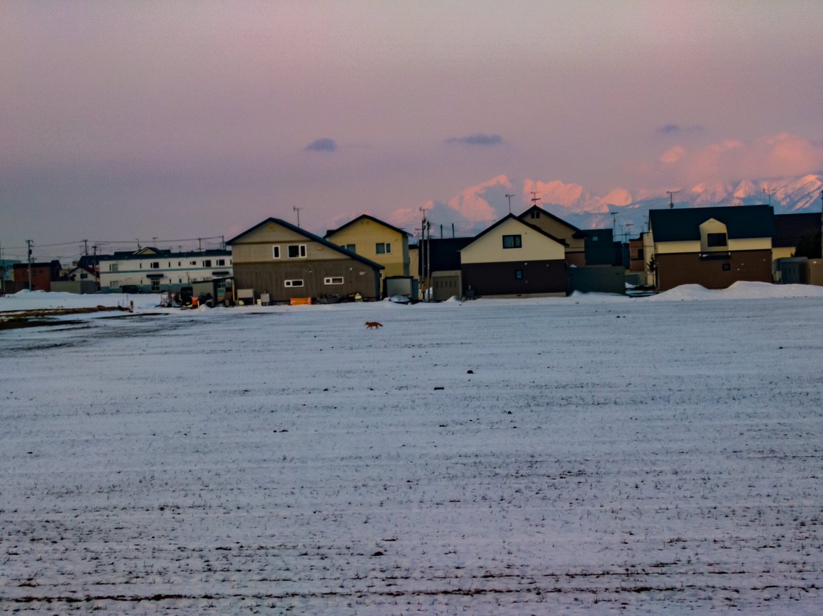 Lodge Raven @斑尾の #ヤベー宿 tweet media