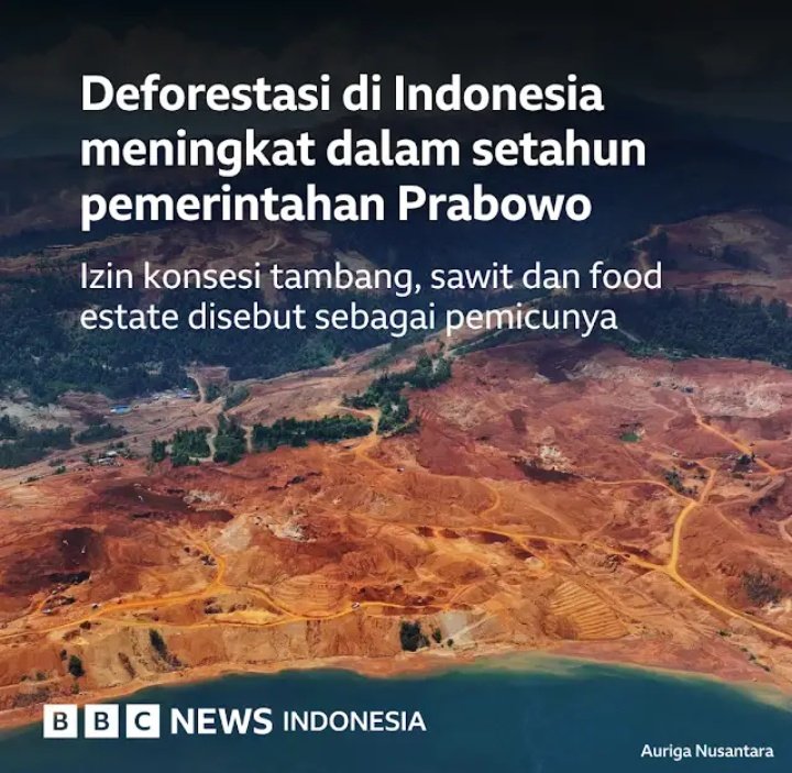 Zaenal Muhammad tweet media