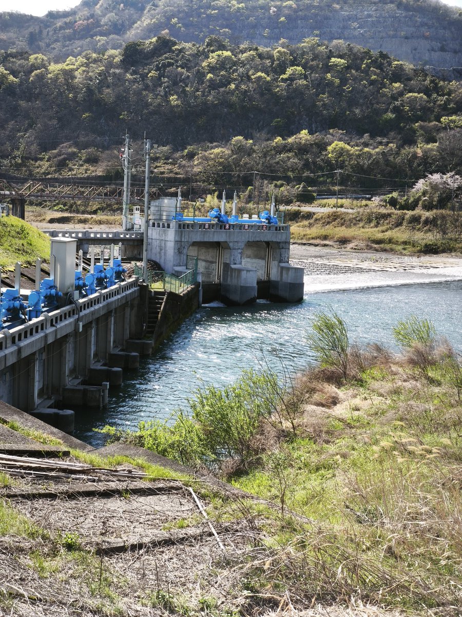 NACS@ろーずは腐った🍊 tweet media