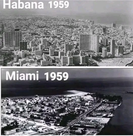 Andrey Smetanenko tweet media