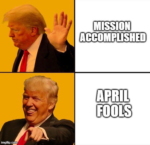 Le Shrub🌳 tweet media