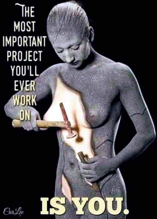 Thomas Schmaus🇩🇪 🕊🐉🙏 tweet media