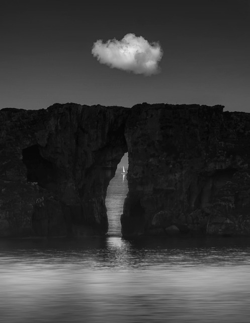 Sherri Baker tweet media