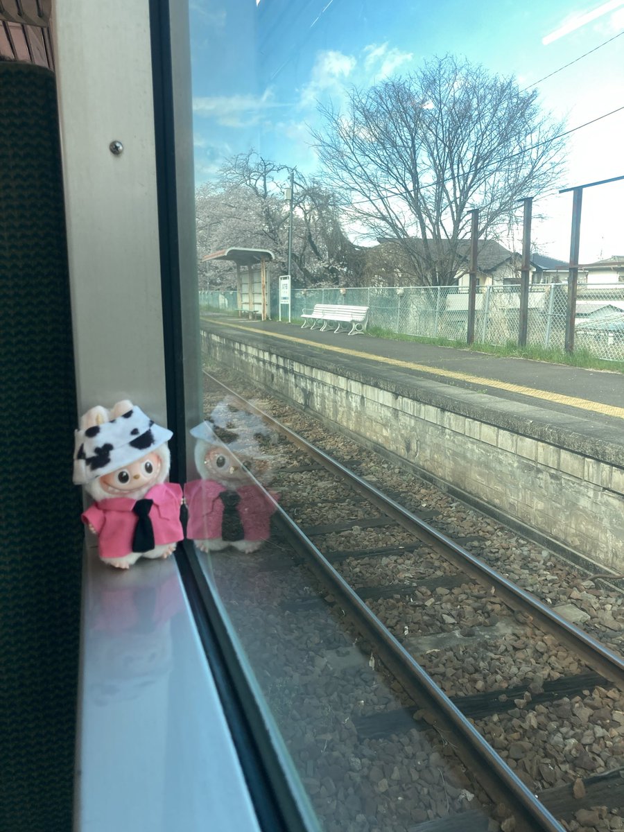 イガイガ tweet media