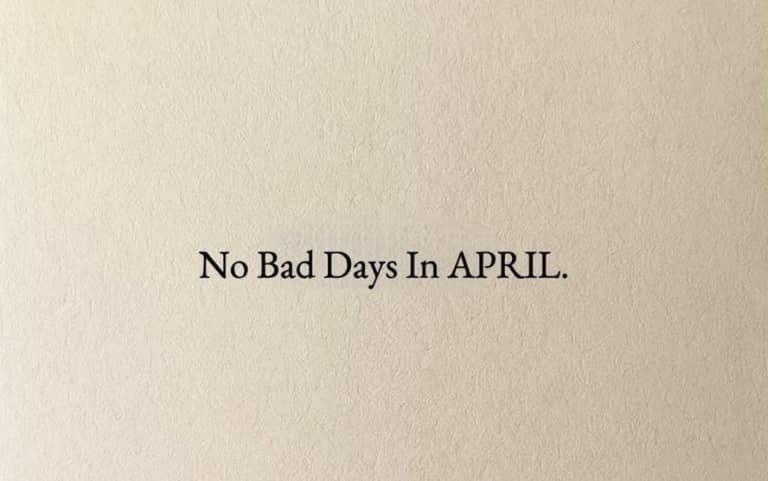 PRECI☆US ✨ tweet media