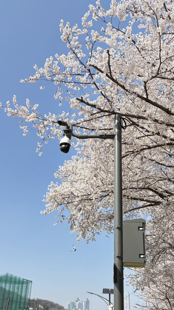 캄이에요 ㄱ- 깡 tweet media