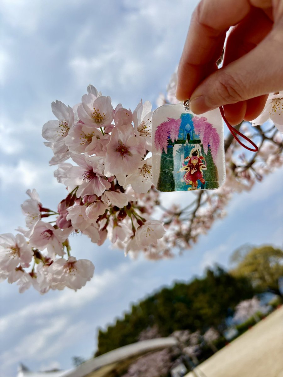 kmj_mk's tweet photo. お花見しちゃぁぁぁ🌸🌸🌸
楽しかった！！！
会えてよかったー！！ https://t.co/dB9JX6vBLK