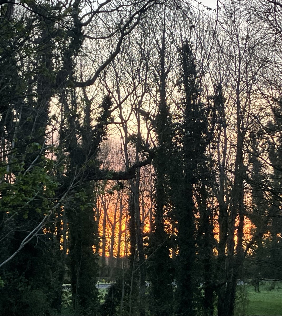 robbeorn's tweet image. #Spring #Belfast