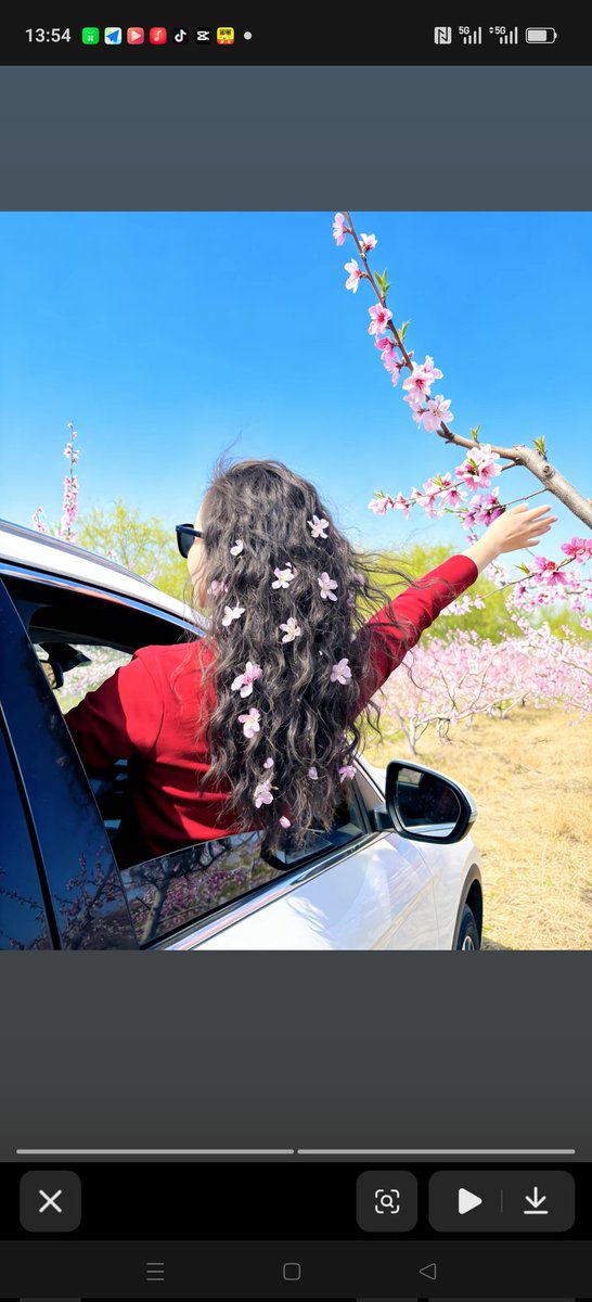 迪娜尔 互fo🌇💯💯💯 tweet media