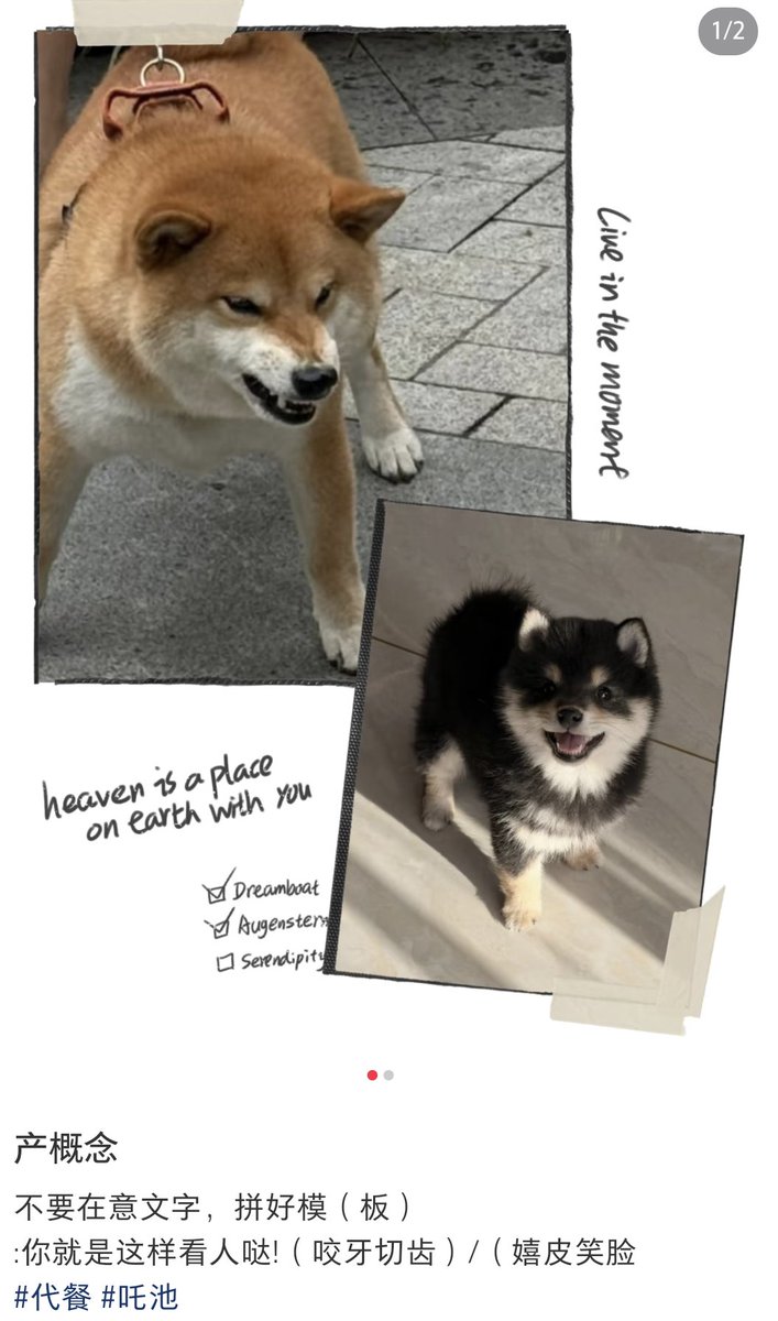 黑柴依柴
Callback老己思路
#吒池 #池年 #哪吒 #柴犬 #狗塑