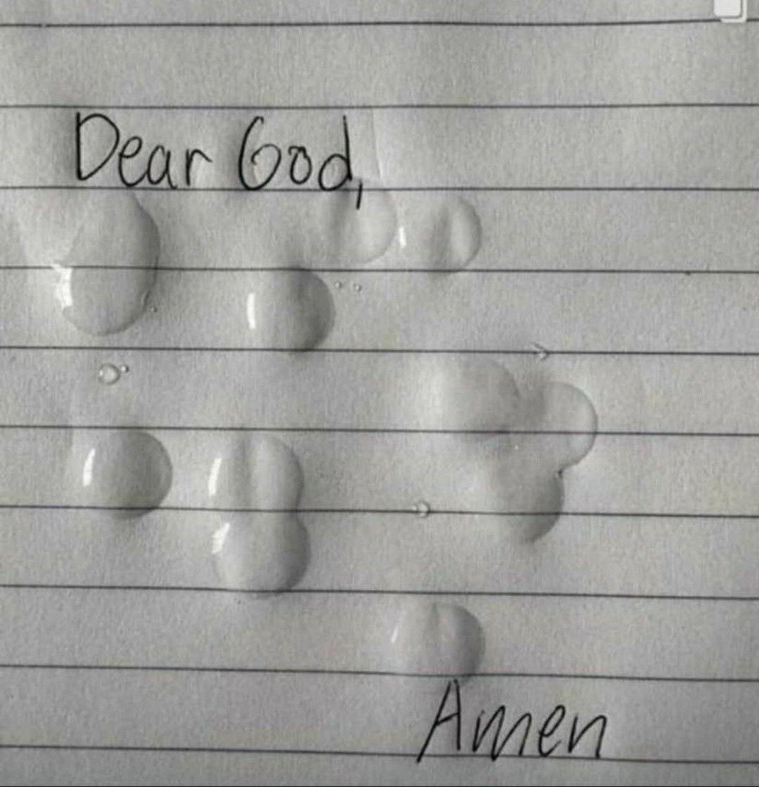 0x•lex💥 tweet media