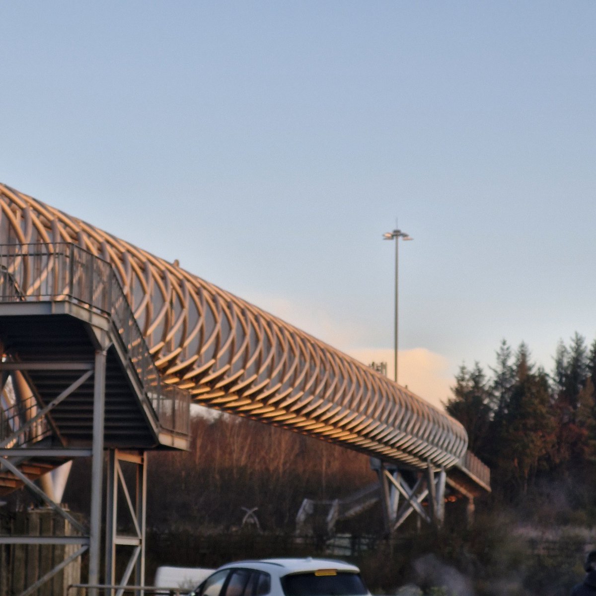 Dee and the dug 🐕 tweet media