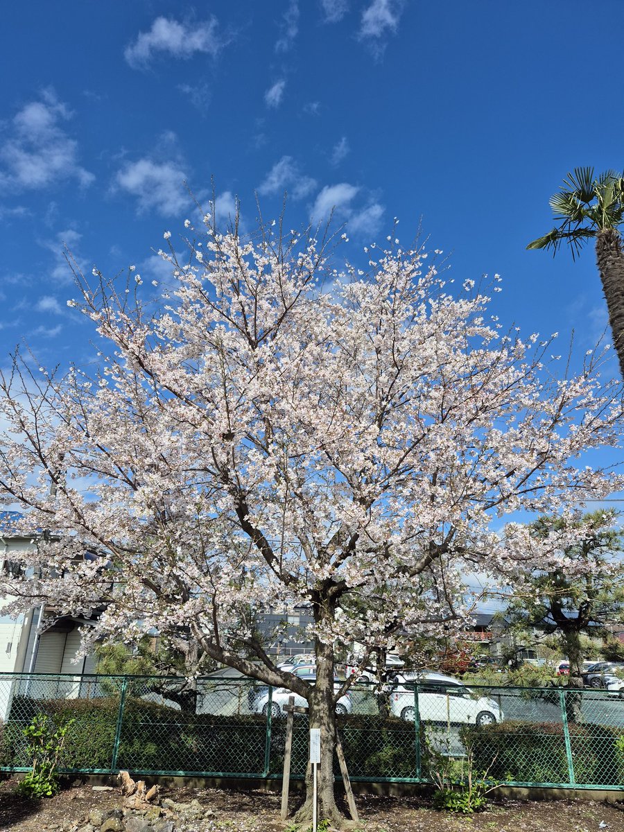 TPC作業員（何処でも下道 下道男） tweet media