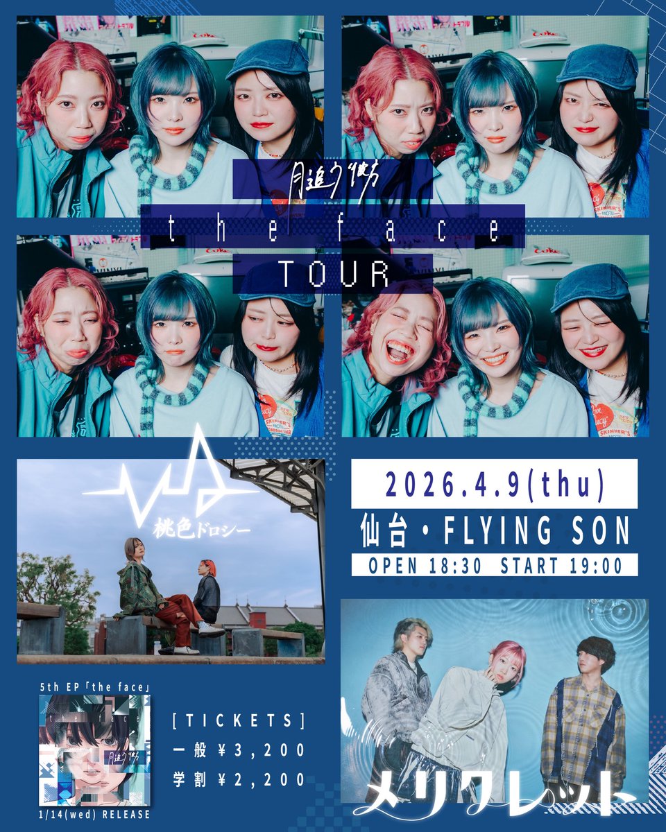 桃色ドロシー tweet media