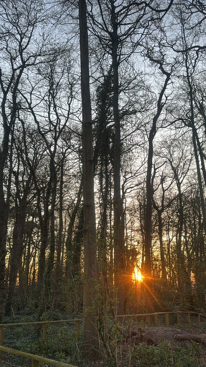 brad_cob's tweet photo. #earlymorningwalks #sunrise https://t.co/d8aswYqHDW