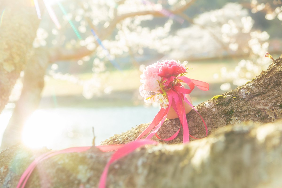 meimy7111's tweet image. ❀.*･ﾟ❀.*･ﾟ❀.*･ﾟ

                  cc SAKURA｜CLEAR card

Photo @krage_lib