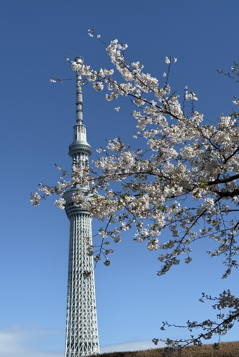 井上雅人/ Baritone tweet media