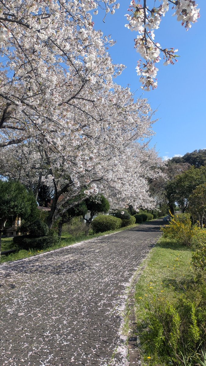 おにぐら tweet media