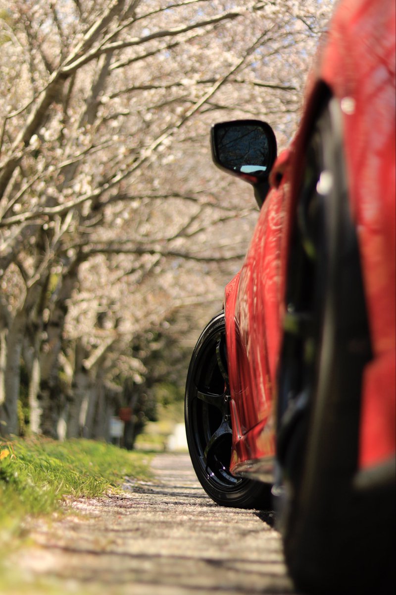 ｸﾏｯﾋﾟ tweet media