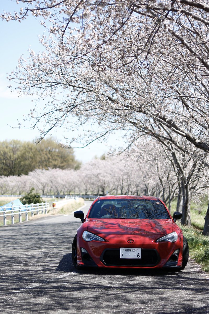 ｸﾏｯﾋﾟ tweet media