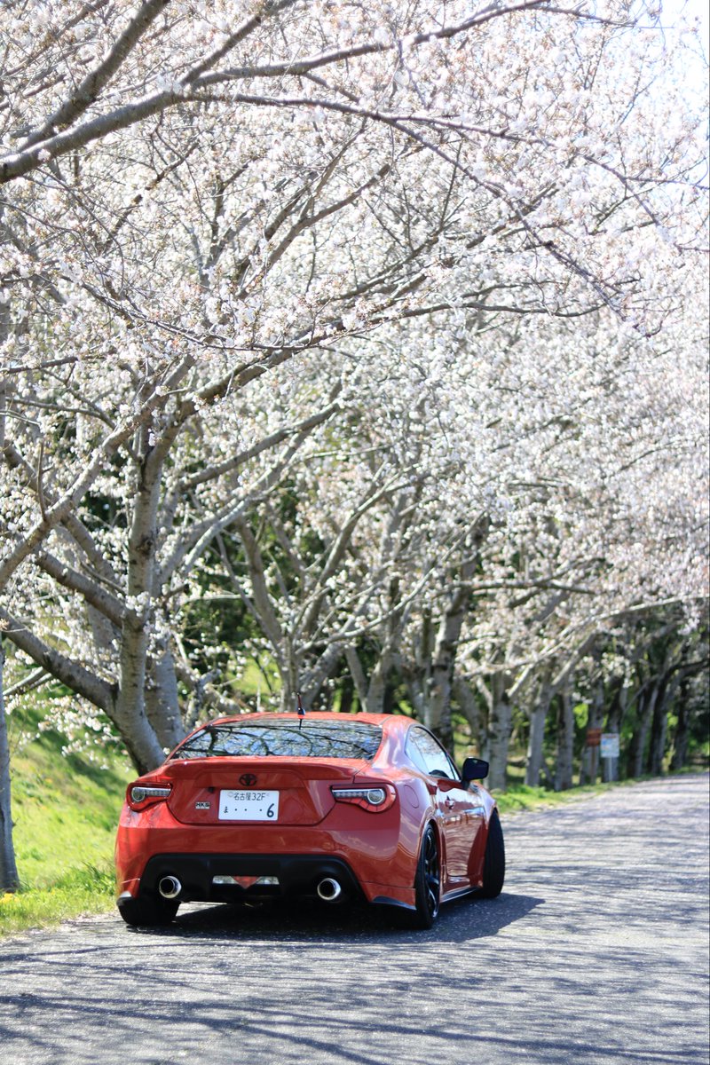 ｸﾏｯﾋﾟ tweet media