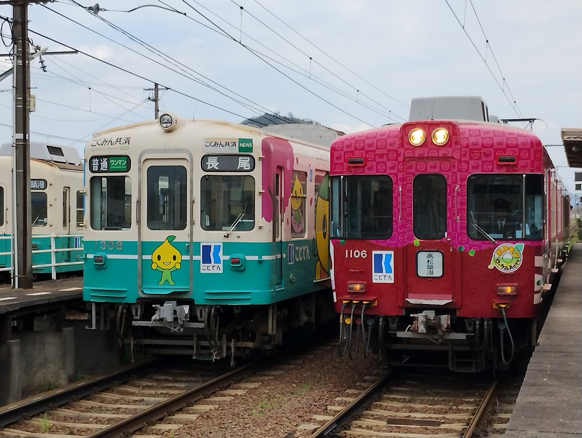 こみきゃん tweet media