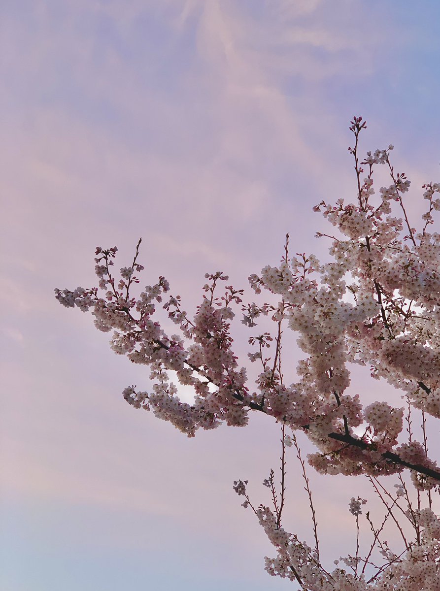 초람 ˖˚˳⊹ tweet media