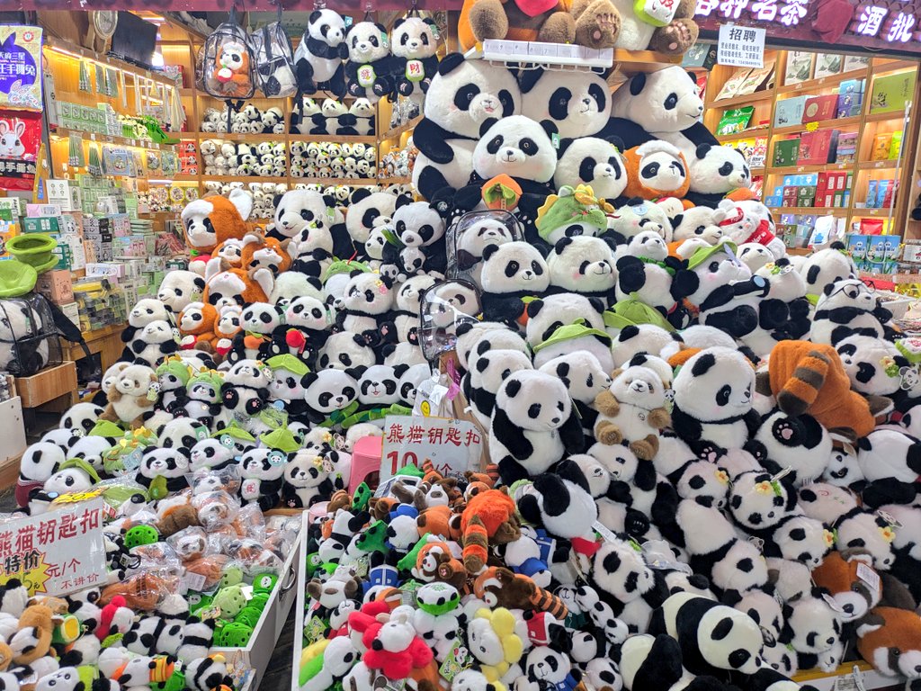 定期的に見たくなるやつ🐼🐼🐼
 #成都