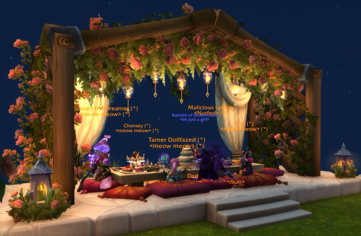 chiri ౨ৎ 🐾 tweet media