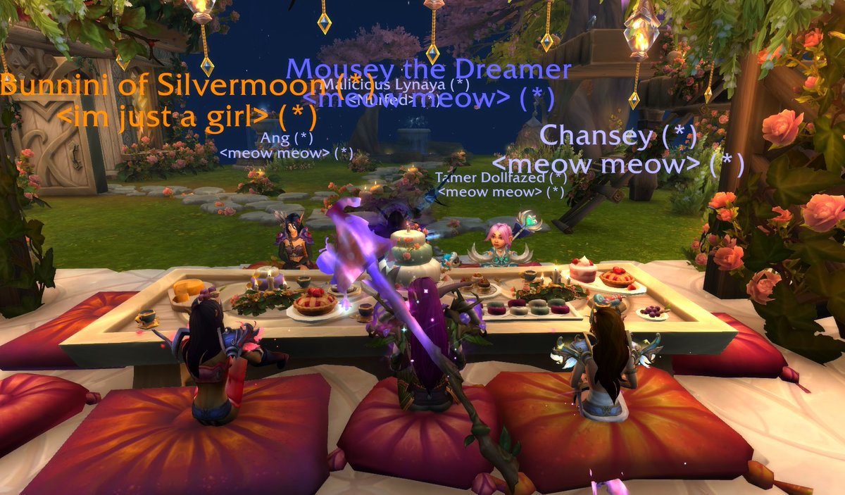 chiri ౨ৎ 🐾 tweet media