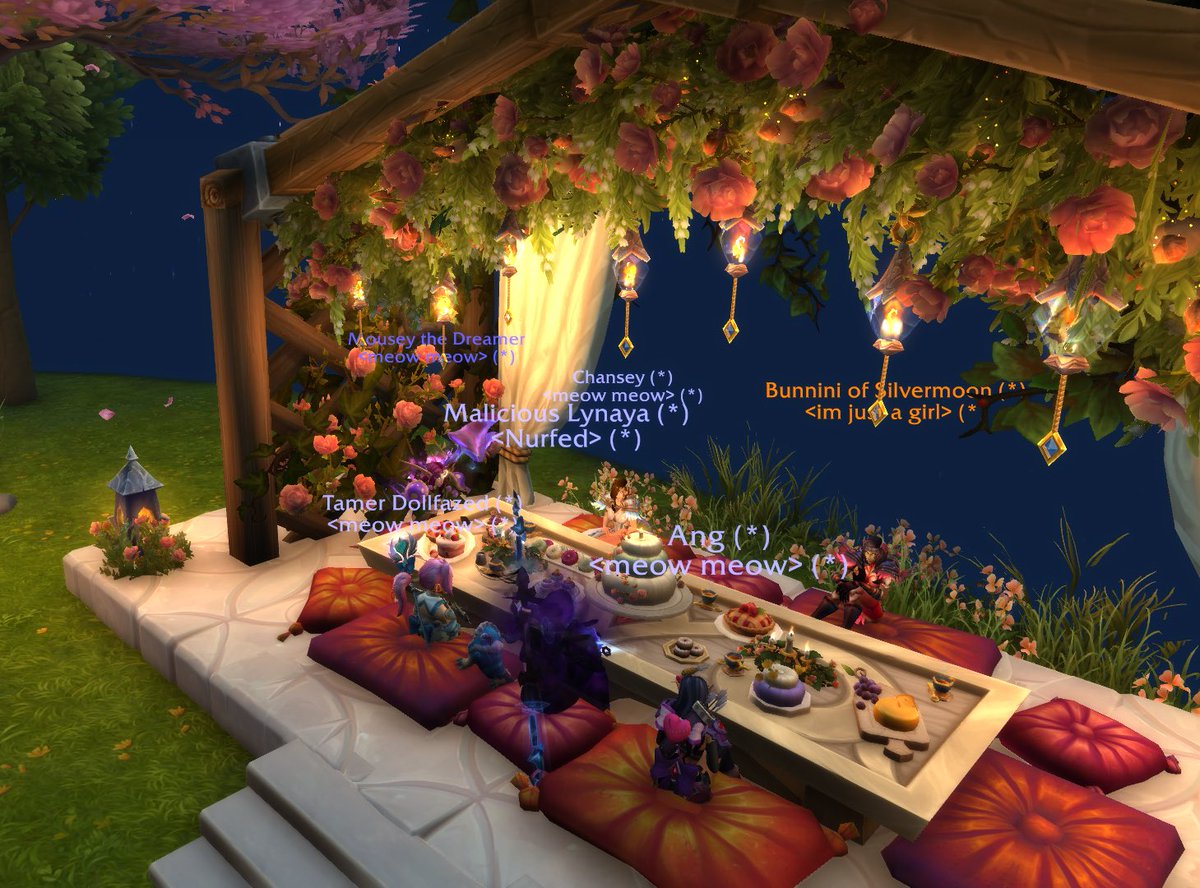 chiri ౨ৎ 🐾 tweet media