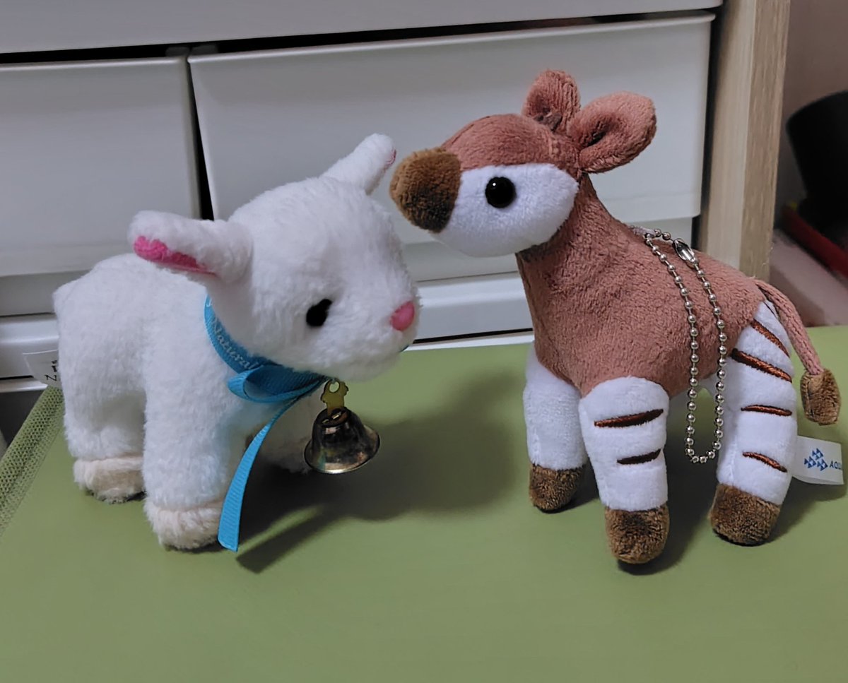 びえちゃん tweet media