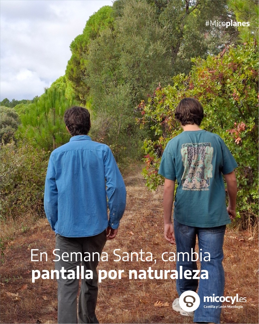 Programa Micocyl tweet media