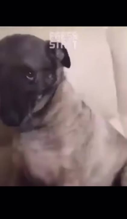 raphael onyedika tweet media