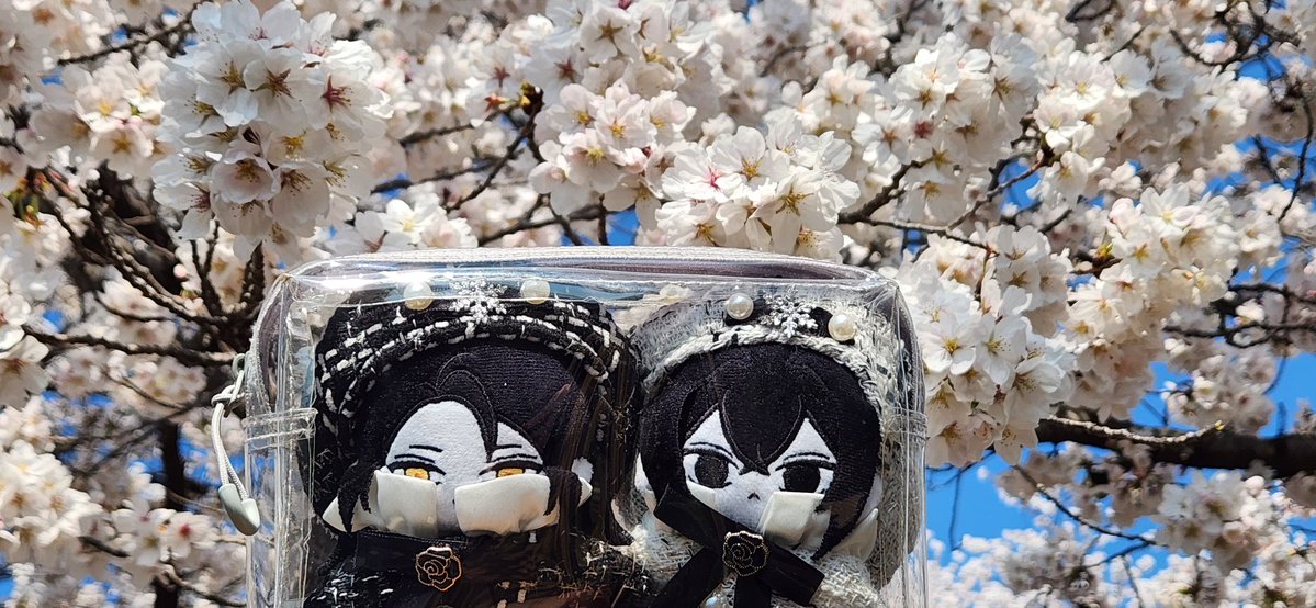 천백랑 tweet media