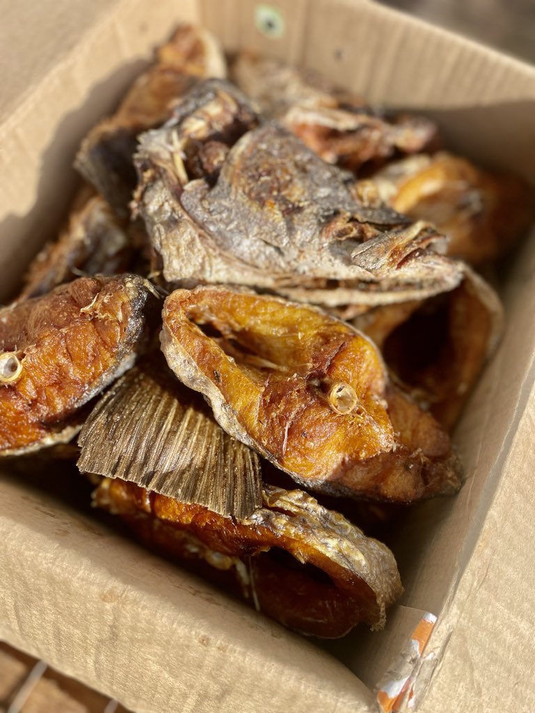 IAmHaule tweet media